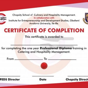 Chopsity, OAU Ile Ife, Culinary Arts, Diploma, Hospitality School, Chef Maker,  Hotel Consultancy, Hospitality Consultants, Restaurant Manager, Osun State, Kids and Teens, Confectionary, Catering, Events Management, Hospitaity without Borders, Healthy Meals, FitFam, Healthy Meals, Soup Pots, Online Catering School, Catering E-books, Entrepreneurship